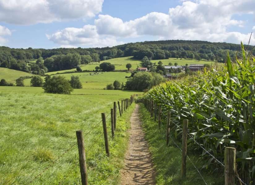 6-Pers Vakantiebungalow In Het Heuvelland Simpelveld Zewnętrze zdjęcie